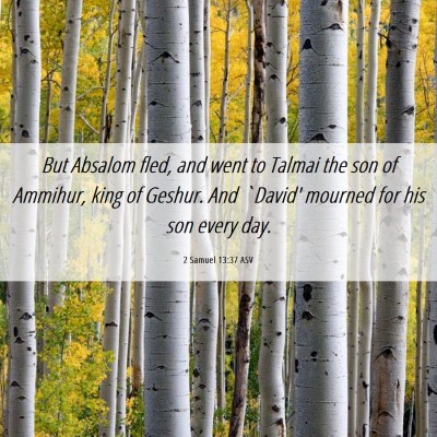 Picture 06 - 2 Samuel 13:37 ASV - But Absalom fled, and went to Talmai the son of - Bible Verse Picture