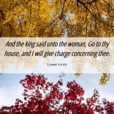 Picture 06 - 2 Samuel 14:8 ASV - And the king said unto the woman, Go to thy - Bible Verse Picture
