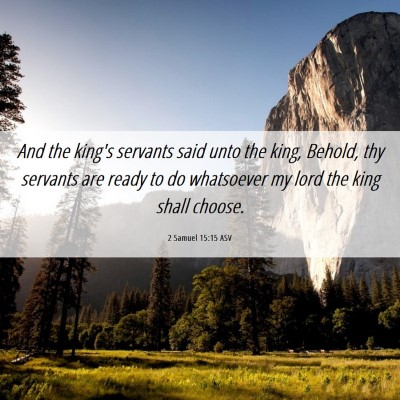 Picture 06 - 2 Samuel 15:15 ASV - And the king's servants said unto the king, - Bible Verse Picture