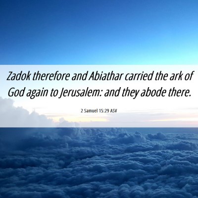 Picture 06 - 2 Samuel 15:29 ASV - Zadok therefore and Abiathar carried the ark of - Bible Verse Picture