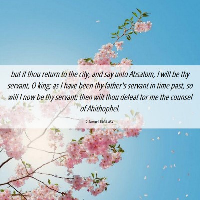 Picture 06 - 2 Samuel 15:34 ASV - but if thou return to the city, and say unto - Bible Verse Picture