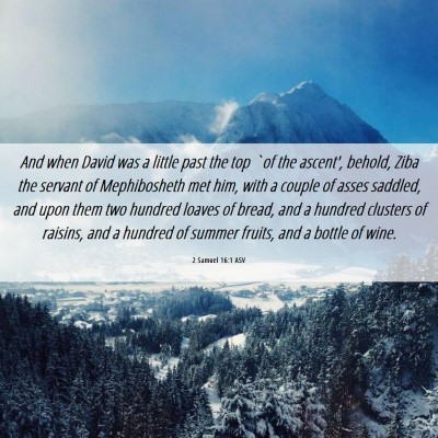 Picture 06 - 2 Samuel 16:1 ASV - And when David was a little past the top `of the - Bible Verse Picture