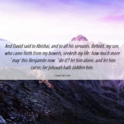 Picture 06 - 2 Samuel 16:11 ASV - And David said to Abishai, and to all his - Bible Verse Picture