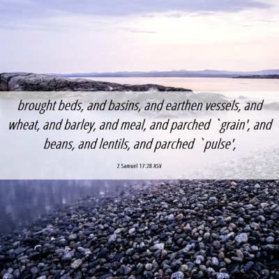 Picture 06 - 2 Samuel 17:28 ASV - brought beds, and basins, and earthen vessels, - Bible Verse Picture