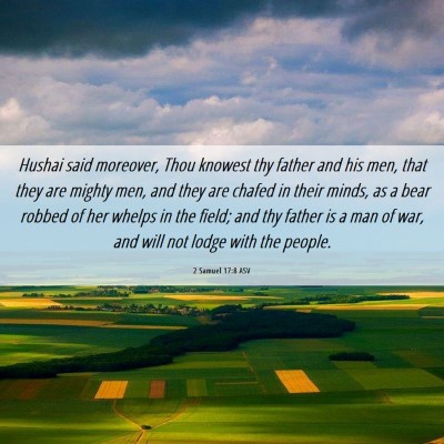 Picture 06 - 2 Samuel 17:8 ASV - Hushai said moreover, Thou knowest thy father and - Bible Verse Picture