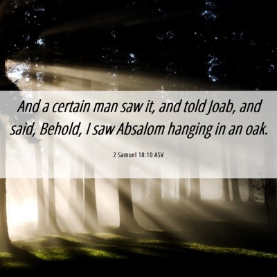 Picture 06 - 2 Samuel 18:10 ASV - And a certain man saw it, and told Joab, and - Bible Verse Picture