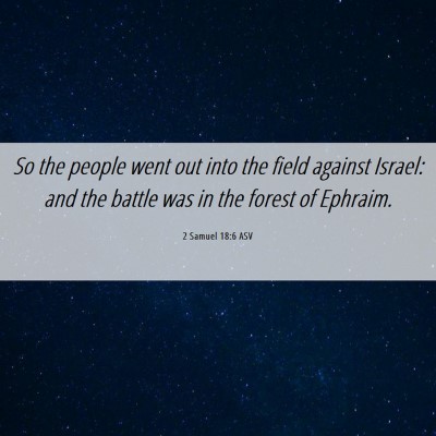 Picture 06 - 2 Samuel 18:6 ASV - So the people went out into the field against - Bible Verse Picture