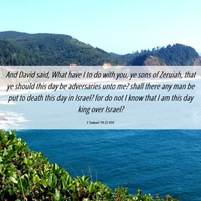 Picture 06 - 2 Samuel 19:22 ASV - And David said, What have I to do with you, ye - Bible Verse Picture