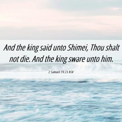 Picture 06 - 2 Samuel 19:23 ASV - And the king said unto Shimei, Thou shalt not - Bible Verse Picture