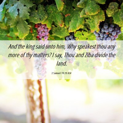 Picture 06 - 2 Samuel 19:29 ASV - And the king said unto him, Why speakest thou any - Bible Verse Picture