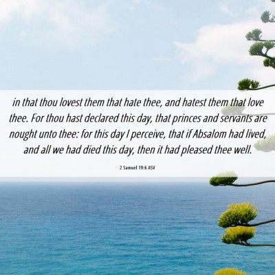 Picture 06 - 2 Samuel 19:6 ASV - in that thou lovest them that hate thee, and - Bible Verse Picture