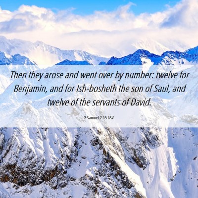 Picture 06 - 2 Samuel 2:15 ASV - Then they arose and went over by number: twelve - Bible Verse Picture