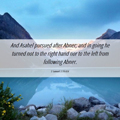 Picture 06 - 2 Samuel 2:19 ASV - And Asahel pursued after Abner; and in going he - Bible Verse Picture