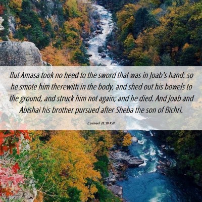 Picture 06 - 2 Samuel 20:10 ASV - But Amasa took no heed to the sword that was in - Bible Verse Picture