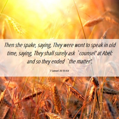 Picture 06 - 2 Samuel 20:18 ASV - Then she spake, saying, They were wont to speak - Bible Verse Picture