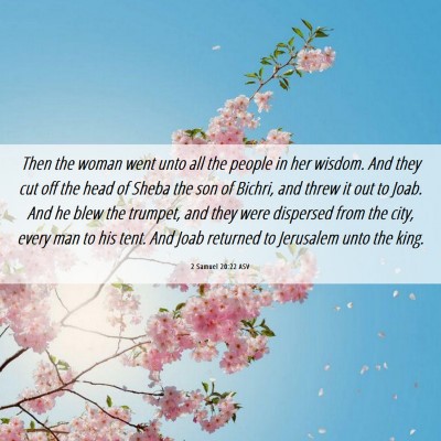 Picture 06 - 2 Samuel 20:22 ASV - Then the woman went unto all the people in her - Bible Verse Picture