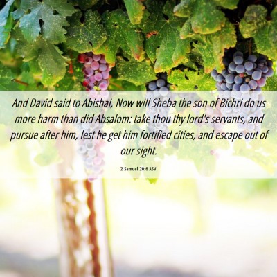 Picture 06 - 2 Samuel 20:6 ASV - And David said to Abishai, Now will Sheba the son - Bible Verse Picture