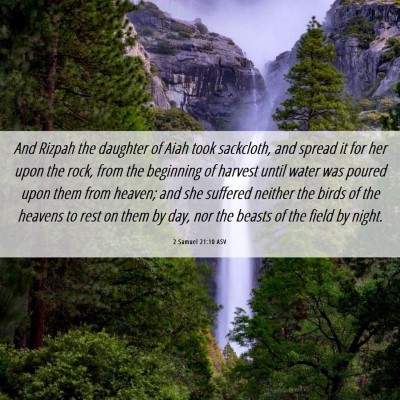 Picture 06 - 2 Samuel 21:10 ASV - And Rizpah the daughter of Aiah took sackcloth, - Bible Verse Picture