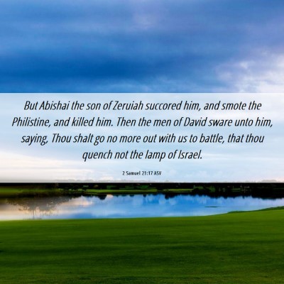 Picture 06 - 2 Samuel 21:17 ASV - But Abishai the son of Zeruiah succored him, and - Bible Verse Picture