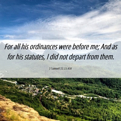 Picture 06 - 2 Samuel 22:23 ASV - For all his ordinances were before me; And as for - Bible Verse Picture