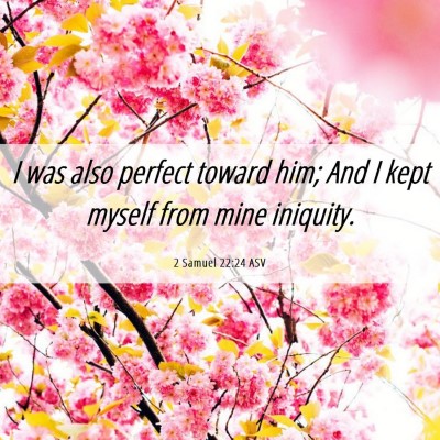 Picture 06 - 2 Samuel 22:24 ASV - I was also perfect toward him; And I kept myself - Bible Verse Picture