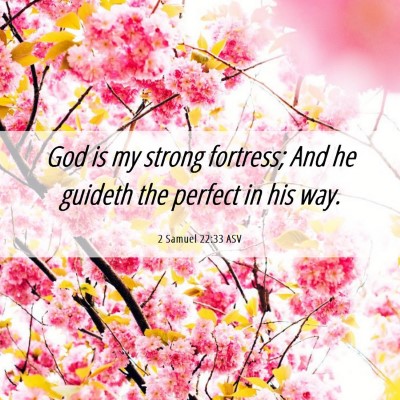 Picture 06 - 2 Samuel 22:33 ASV - God is my strong fortress; And he guideth the - Bible Verse Picture