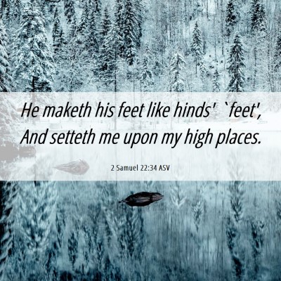 Picture 06 - 2 Samuel 22:34 ASV - He maketh his feet like hinds' `feet', And - Bible Verse Picture
