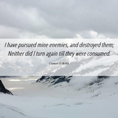 Picture 06 - 2 Samuel 22:38 ASV - I have pursued mine enemies, and destroyed them; - Bible Verse Picture
