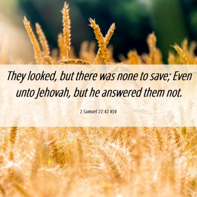 Picture 06 - 2 Samuel 22:42 ASV - They looked, but there was none to save; Even - Bible Verse Picture