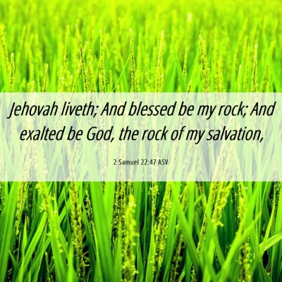 Picture 06 - 2 Samuel 22:47 ASV - Jehovah liveth; And blessed be my rock; And - Bible Verse Picture