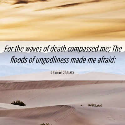 Picture 06 - 2 Samuel 22:5 ASV - For the waves of death compassed me; The floods - Bible Verse Picture