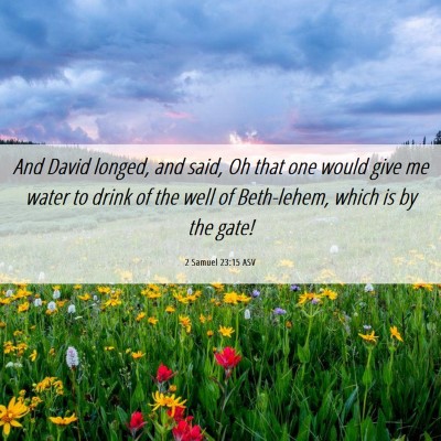 Picture 06 - 2 Samuel 23:15 ASV - And David longed, and said, Oh that one would - Bible Verse Picture