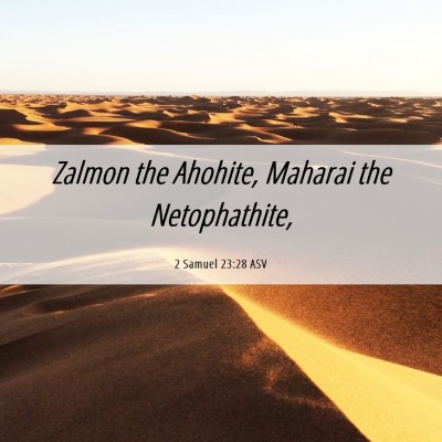 Picture 06 - 2 Samuel 23:28 ASV - Zalmon the Ahohite, Maharai the - Bible Verse Picture