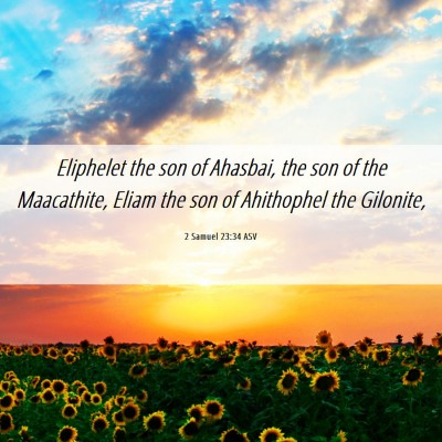 Picture 06 - 2 Samuel 23:34 ASV - Eliphelet the son of Ahasbai, the son of the - Bible Verse Picture