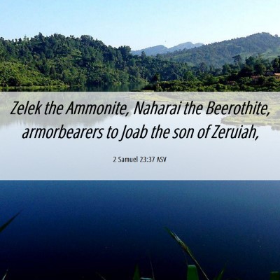 Picture 06 - 2 Samuel 23:37 ASV - Zelek the Ammonite, Naharai the Beerothite, - Bible Verse Picture