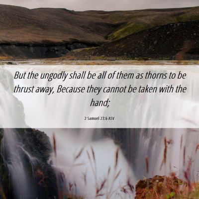 Picture 06 - 2 Samuel 23:6 ASV - But the ungodly shall be all of them as thorns to - Bible Verse Picture