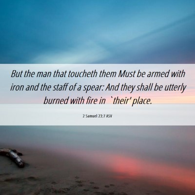 Picture 06 - 2 Samuel 23:7 ASV - But the man that toucheth them Must be armed with - Bible Verse Picture