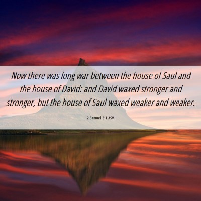 Picture 06 - 2 Samuel 3:1 ASV - Now there was long war between the house of Saul - Bible Verse Picture