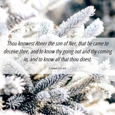 Picture 06 - 2 Samuel 3:25 ASV - Thou knowest Abner the son of Ner, that he came - Bible Verse Picture