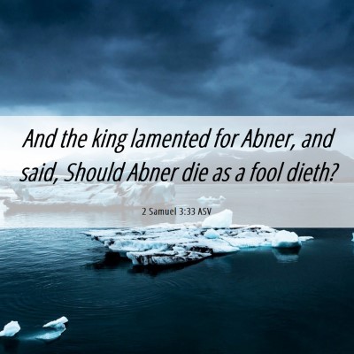 Picture 06 - 2 Samuel 3:33 ASV - And the king lamented for Abner, and said, Should - Bible Verse Picture