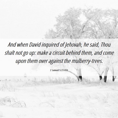 Picture 06 - 2 Samuel 5:23 ASV - And when David inquired of Jehovah, he said, Thou - Bible Verse Picture