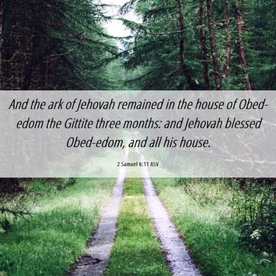 Picture 06 - 2 Samuel 6:11 ASV - And the ark of Jehovah remained in the house of - Bible Verse Picture