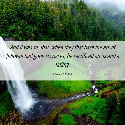 Picture 06 - 2 Samuel 6:13 ASV - And it was so, that, when they that bare the ark - Bible Verse Picture