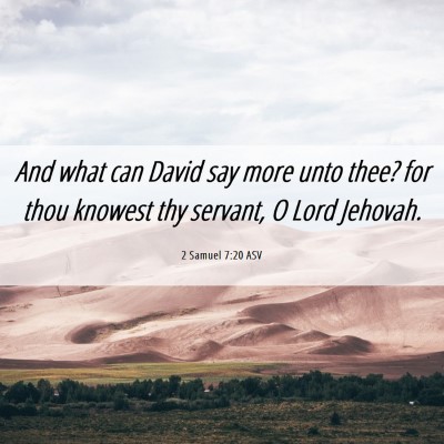 Picture 06 - 2 Samuel 7:20 ASV - And what can David say more unto thee? for thou - Bible Verse Picture