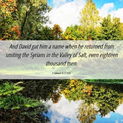 Picture 06 - 2 Samuel 8:13 ASV - And David gat him a name when he returned from - Bible Verse Picture