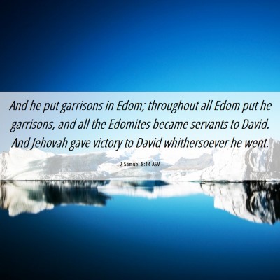 Picture 06 - 2 Samuel 8:14 ASV - And he put garrisons in Edom; throughout all Edom - Bible Verse Picture