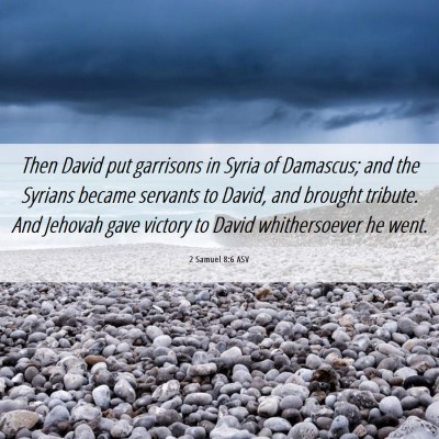 Picture 06 - 2 Samuel 8:6 ASV - Then David put garrisons in Syria of Damascus; - Bible Verse Picture