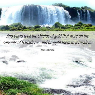 Picture 06 - 2 Samuel 8:7 ASV - And David took the shields of gold that were on - Bible Verse Picture