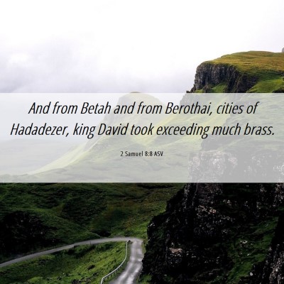 Picture 06 - 2 Samuel 8:8 ASV - And from Betah and from Berothai, cities of - Bible Verse Picture