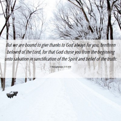 Picture 06 - 2 Thessalonians 2:13 ASV - But we are bound to give thanks to God always for - Bible Verse Picture